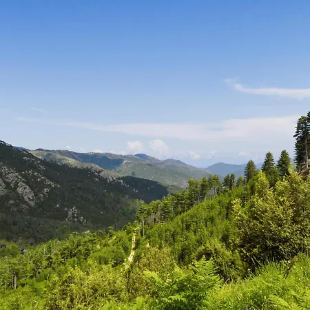 1 Bedroom Amazing In Ghisoni