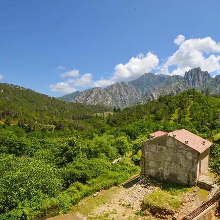 Apartment 1 Bedroom Amazing In