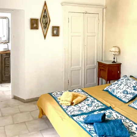 Pet Friendly In *