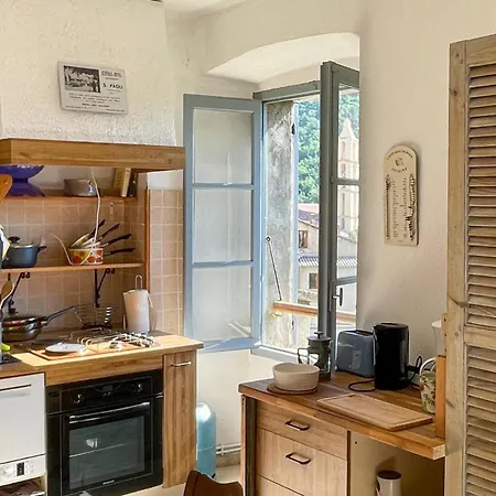 Pet Friendly In Apartman