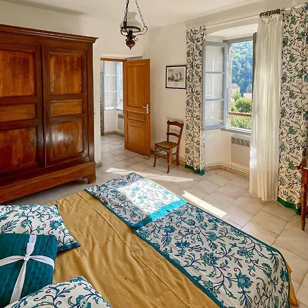 Pet Friendly In Apartman