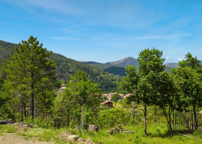 1 Bedroom Amazing In Appartement