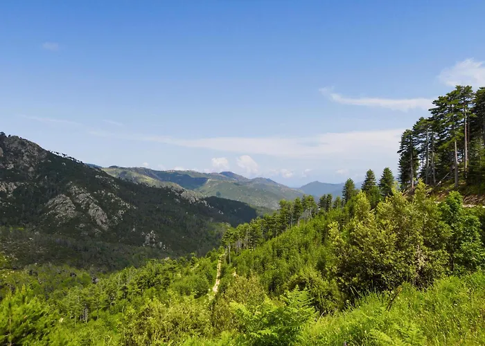 1 Bedroom Amazing In Ghisoni